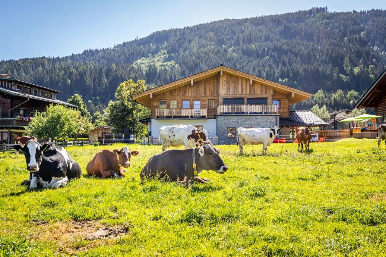 Bauernhof Vorderklinglhub Villa Flachau Exterior photo